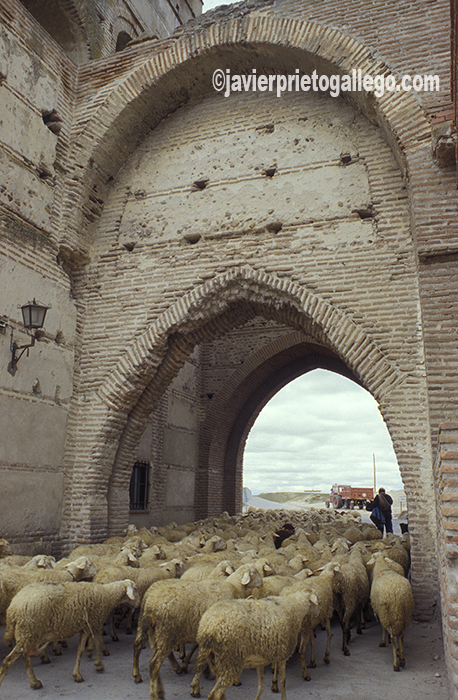 Una de las puertas de la muralla de Madrigal de las Altas Torres. Ávila. Castilla y León. España. © Javier Prieto Gallego