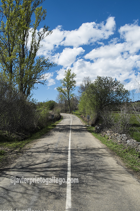 Carretera que une Robleda y El Puente. Comarca de Sanabria. Zamora. Castilla y León. España ©Javier Prieto Gallego