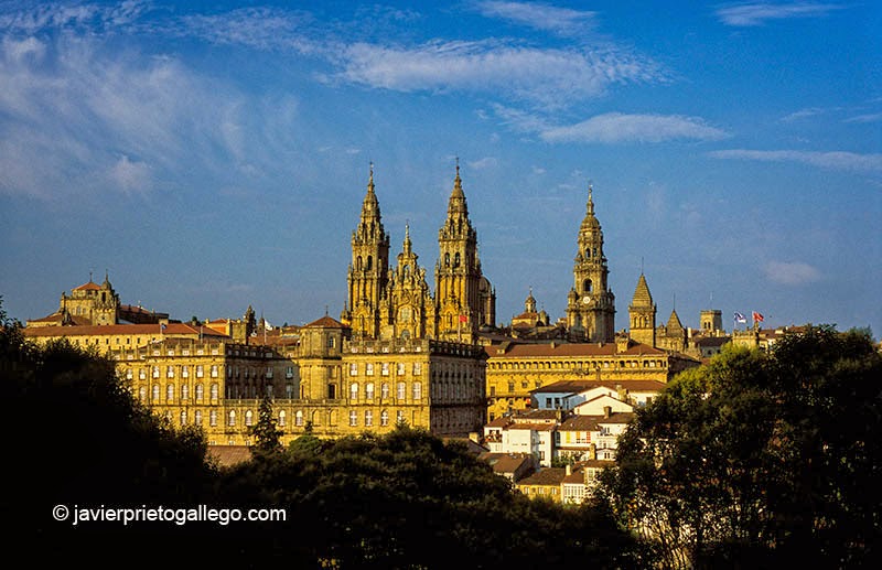 La catedral de Santiago de Compostela vista desde el parque de La Alameda. La Coruña. Galicia. España © Javier Prieto Gallego