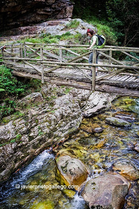 Ruta del Alba. En el parque natural de Redes. Asturias. España. © Javier Prieto Gallego