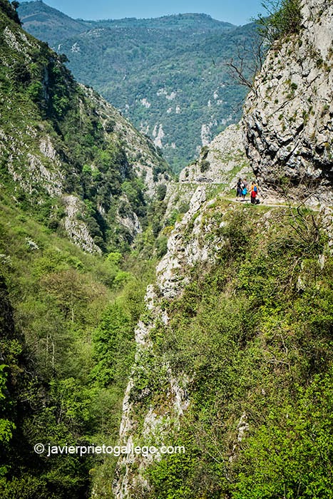 El camino bordea espectaculares cortados en el recorrido por el desfiladero de Las Xanas. Asturias. España. © Javier Prieto Gallego
