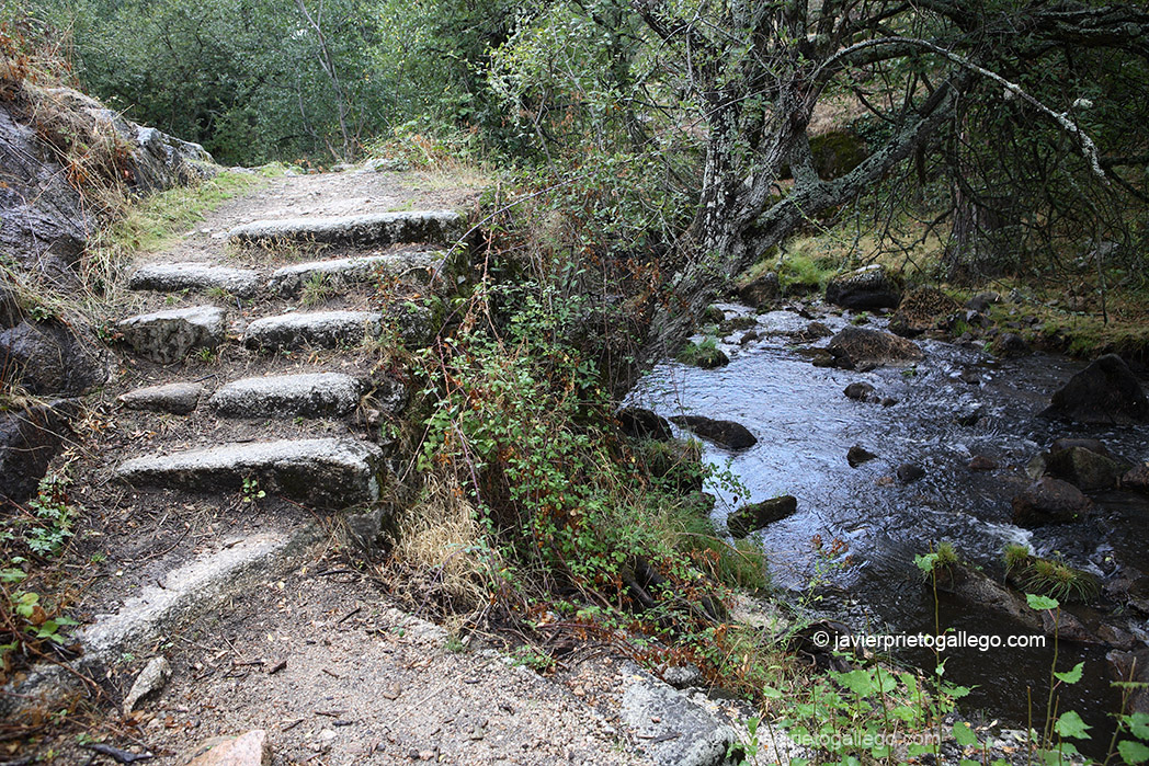 Río Valsaín. Escalinatas de granito. Sendero de los Reales Sitios-Las Pesquerías Reales. La Granja-Valsaín. Segovia. España © Javier Prieto Gallego;
