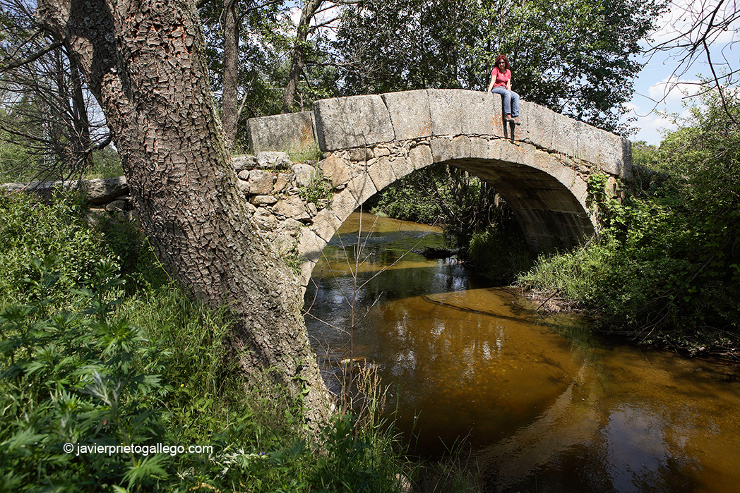 Puente medieval de Chuy sobre el río Corneja. Bonilla de la Sierra. Ávila. Castilla y León. España © Javier Prieto Gallego 