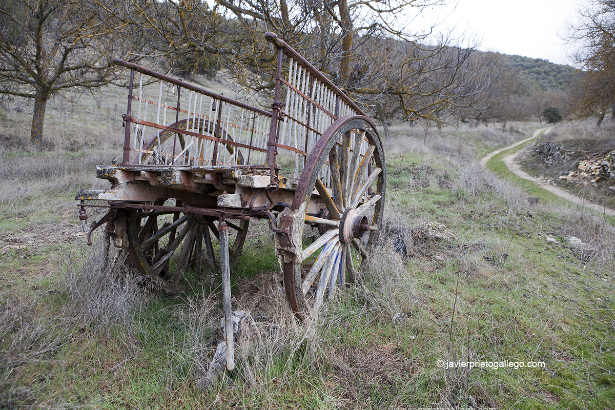 Carro a las afueras de la localidad de Castroceniza. Burgos. Castilla y León. España © Javier Prieto Gallego