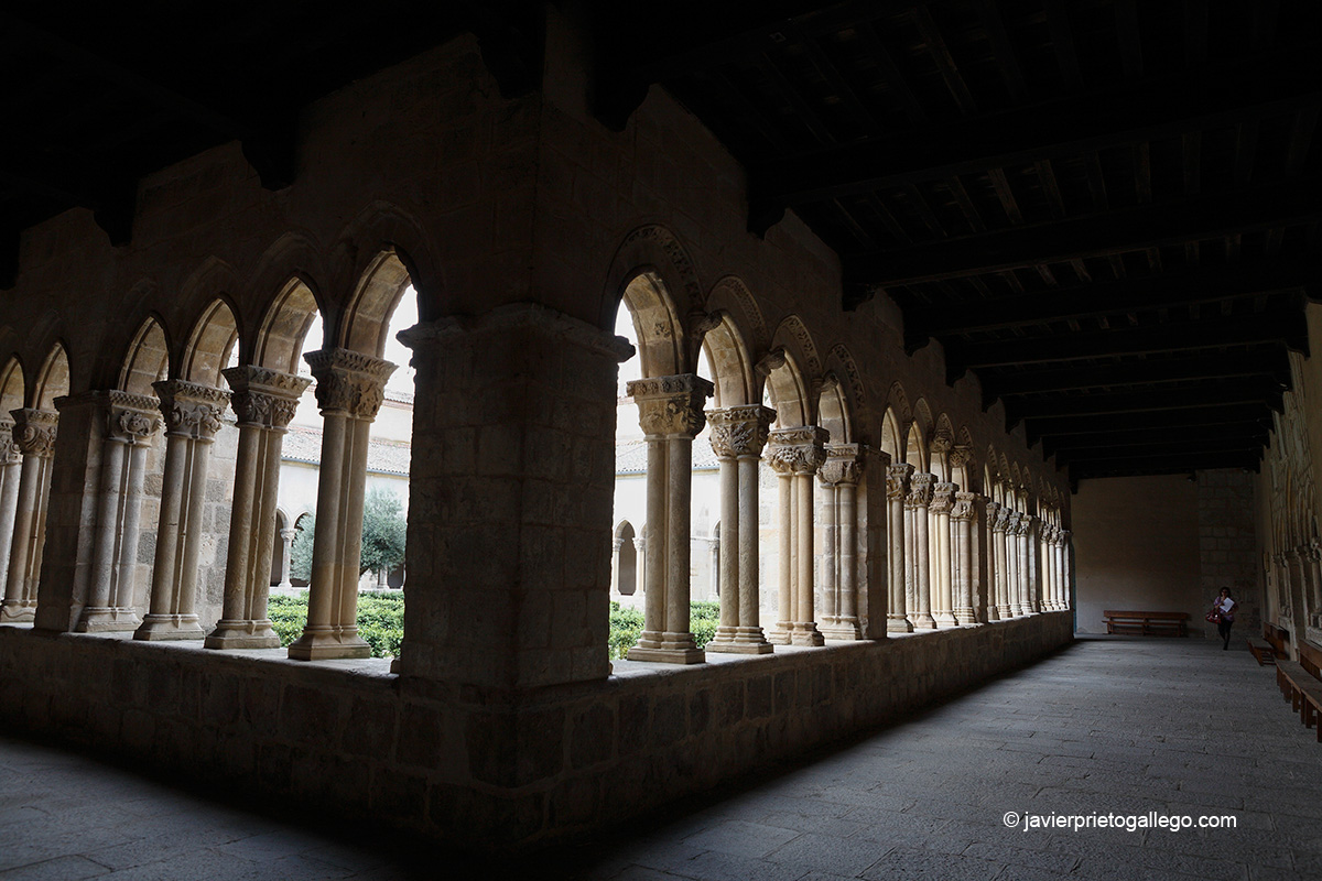 Claustro de la iglesia de Santa María la Real de Nieva. Segovia. Castilla y León. España.© Javier Prieto Gallego