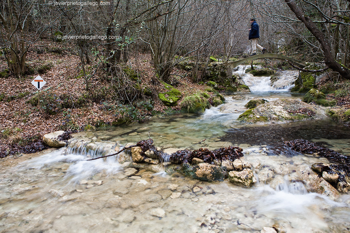 Arroyo del Tobazo. GR. 99. Río Ebro. Cantabria. España.© Javier Prieto Gallego