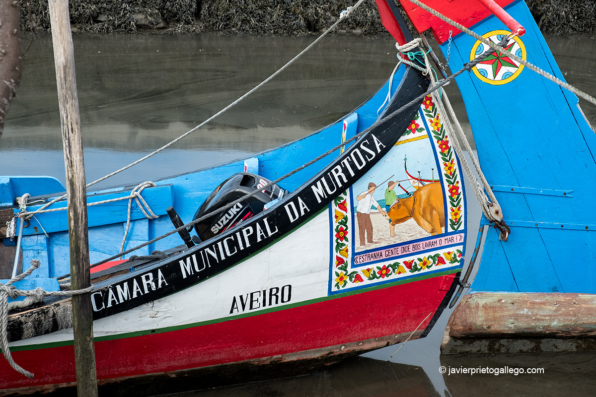 Embarcaciones tradicionales moliceiras en el puerto de Cais do Bico. Es típico que decoren sus popas Murtosa, Portugal © Javier Prieto Gallego